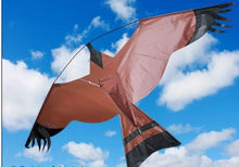 Load image into Gallery viewer, Economy  Hawk Kite with 5 metre pole kit