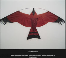 Load image into Gallery viewer, Economy  Hawk Kite with 7 metre pole kit