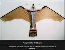 Load image into Gallery viewer, Peregrine Pro Hawk Kite with 5 metre pole kit